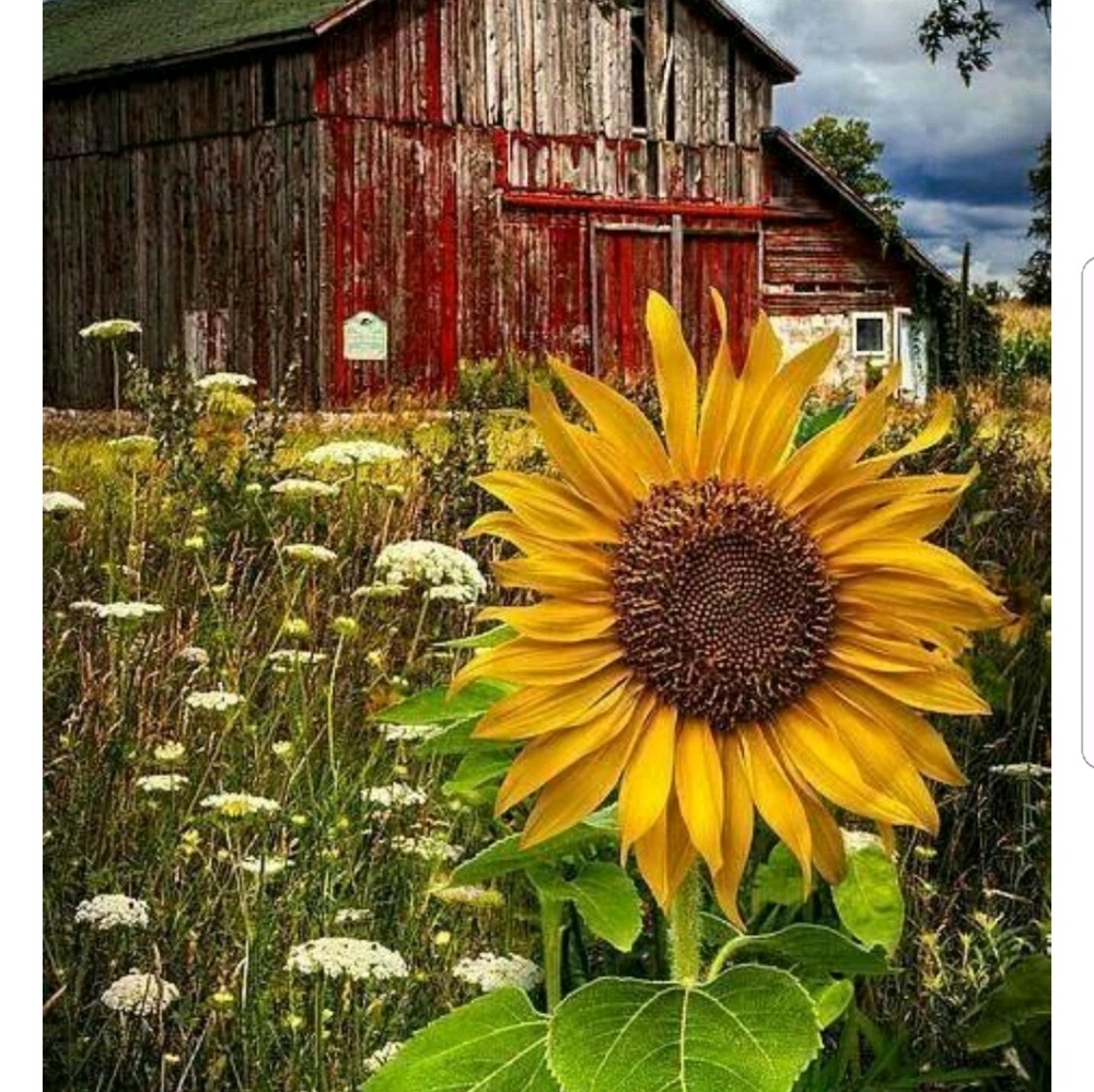 Meet your Posher, Tricia